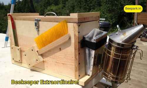 Unlocking the Secrets of the Beekeepers' Toolbox A Buzzworthy Journey Beepark.in 2