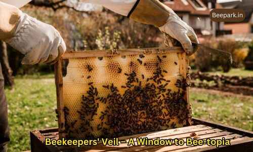 Unlocking the Secrets of the Beekeepers' Toolbox A Buzzworthy Journey Beepark.in 3