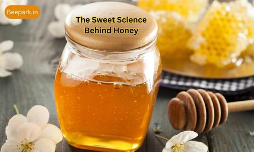 Honey Diet: Part of a Healthy Lifestyle