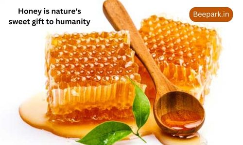 Honey Types and Their Benefits Beepark.in