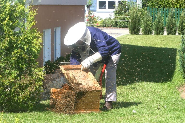 Bee keeping Starter Kit beepark.in