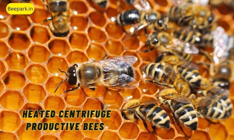 Heated Centrifuge Productive Bees Beepark.in