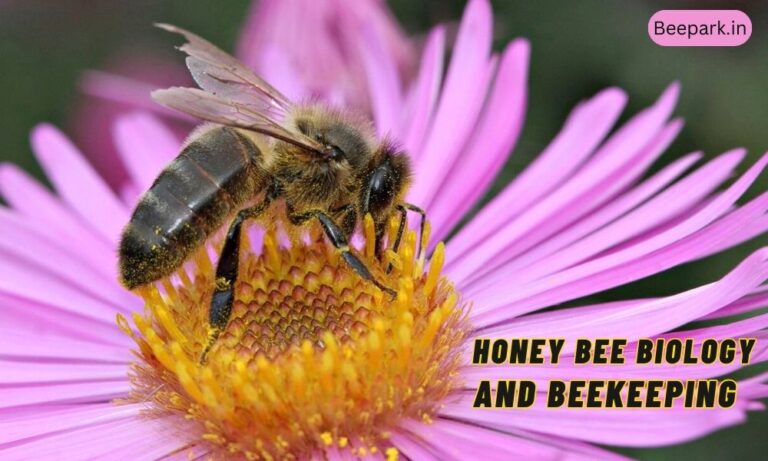 Honey Bee Biology and Beekeeping Beepark.in