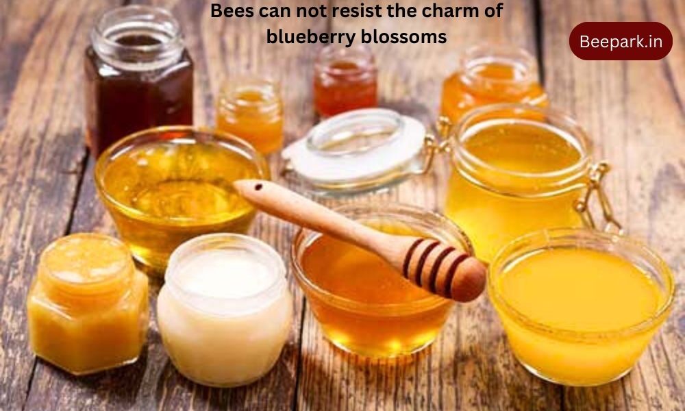 Honey Types and Their Benefits Beepark.in