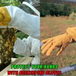 Protect Your Hands with Beekeeping Gloves Beepark.in